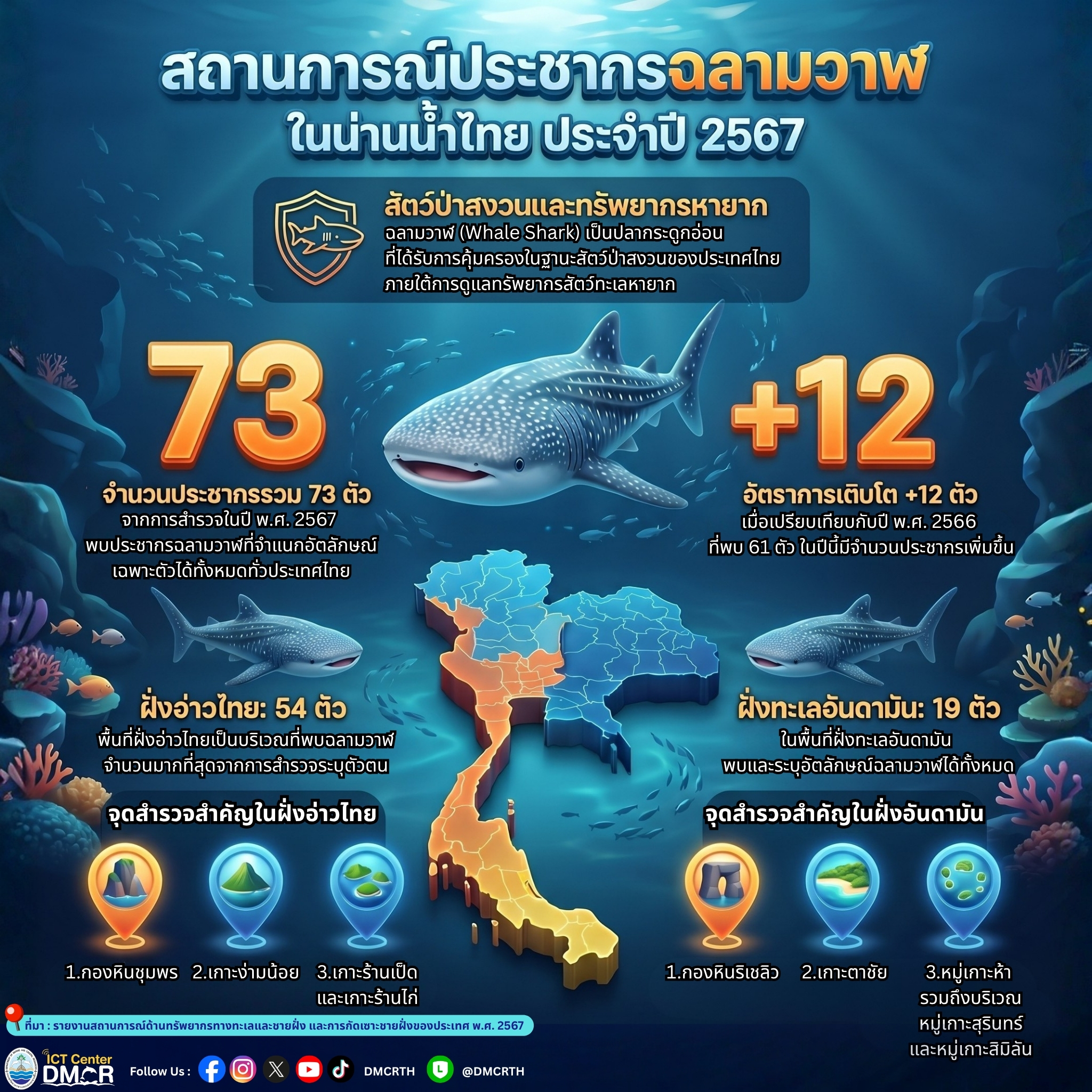ข่าวดี! สถานการณ์ประชากร "ฉลามวาฬ" ในน่านน้ำไทย ปี 2567 พบเพิ่มขึ้นรวม 73 ตัว