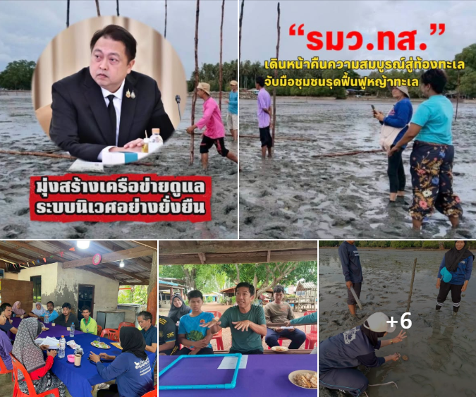 รมว.ทส. เดินหน้าคืนความสมบูรณ์สู่ท้องทะเล จับมือชุมชนรุดฟื้นฟูหญ้าทะเล มุ่งสร้างเครือข่ายดูแลระบบนิเวศอย่างยั่งยืน
