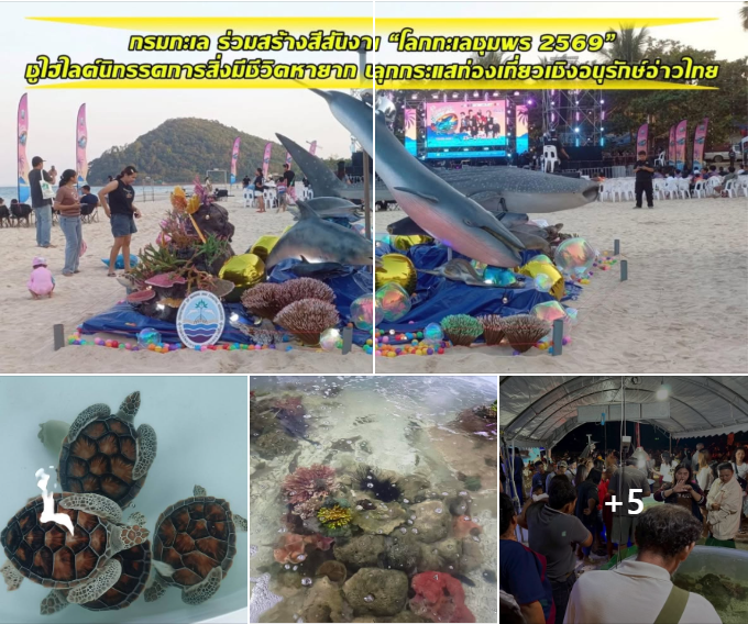 กรมทะเล ร่วมสร้างสีสันงาน “โลกทะเลชุมพร 2569” ชูไฮไลต์นิทรรศการสิ่งมีชีวิตหายาก ปลุกกระแสท่องเที่ยวเชิงอนุรักษ์อ่าวไทย