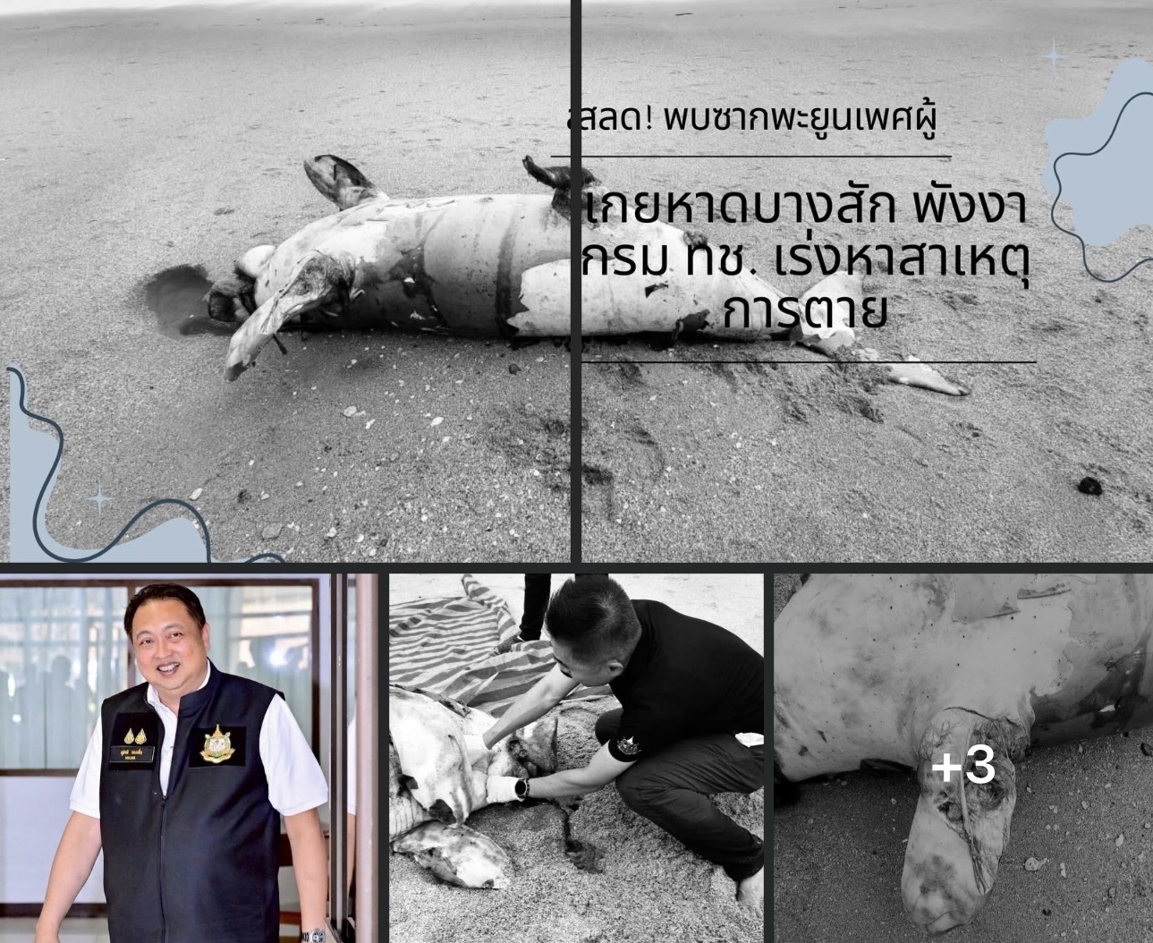 สลด! พบซากพะยูนเพศผู้เกยหาดบางสัก พังงา กรม ทช. เร่งหาสาเหตุการตาย