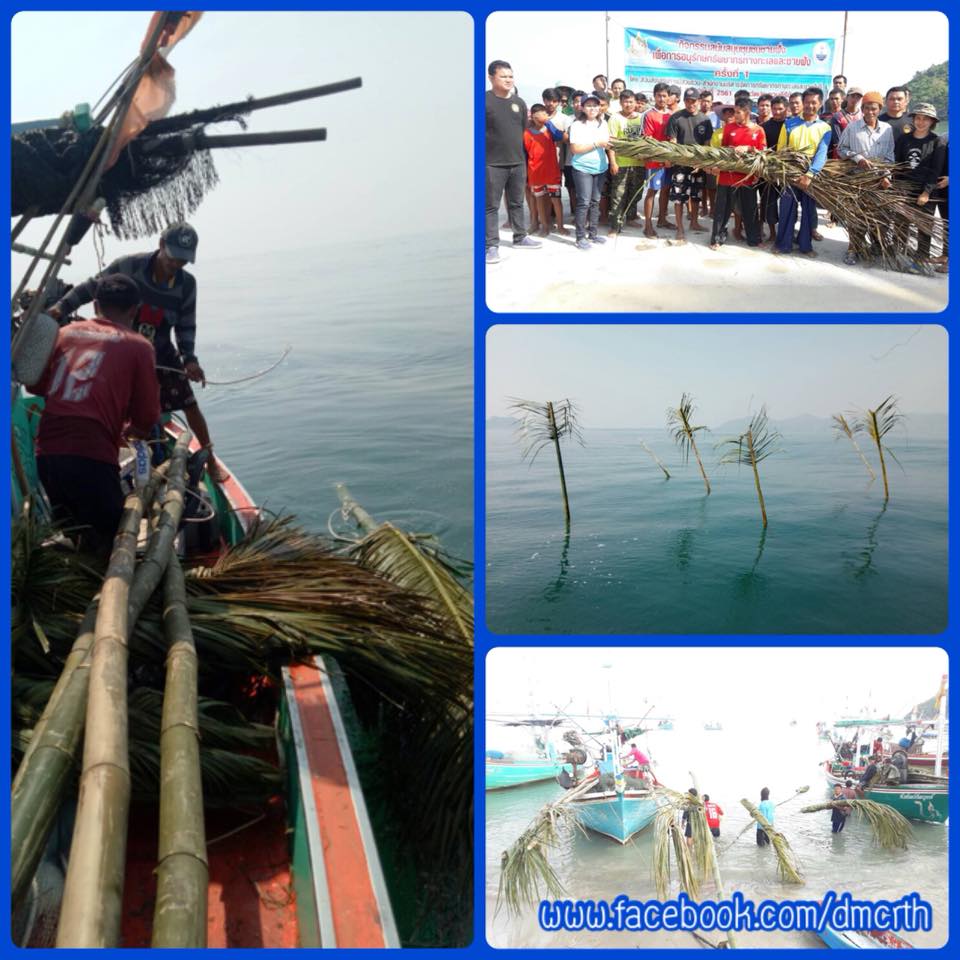 รวมพลวางซั้งในทะเลเรือนร้อย เน้นเพิ่มปลาให้ชุมชน