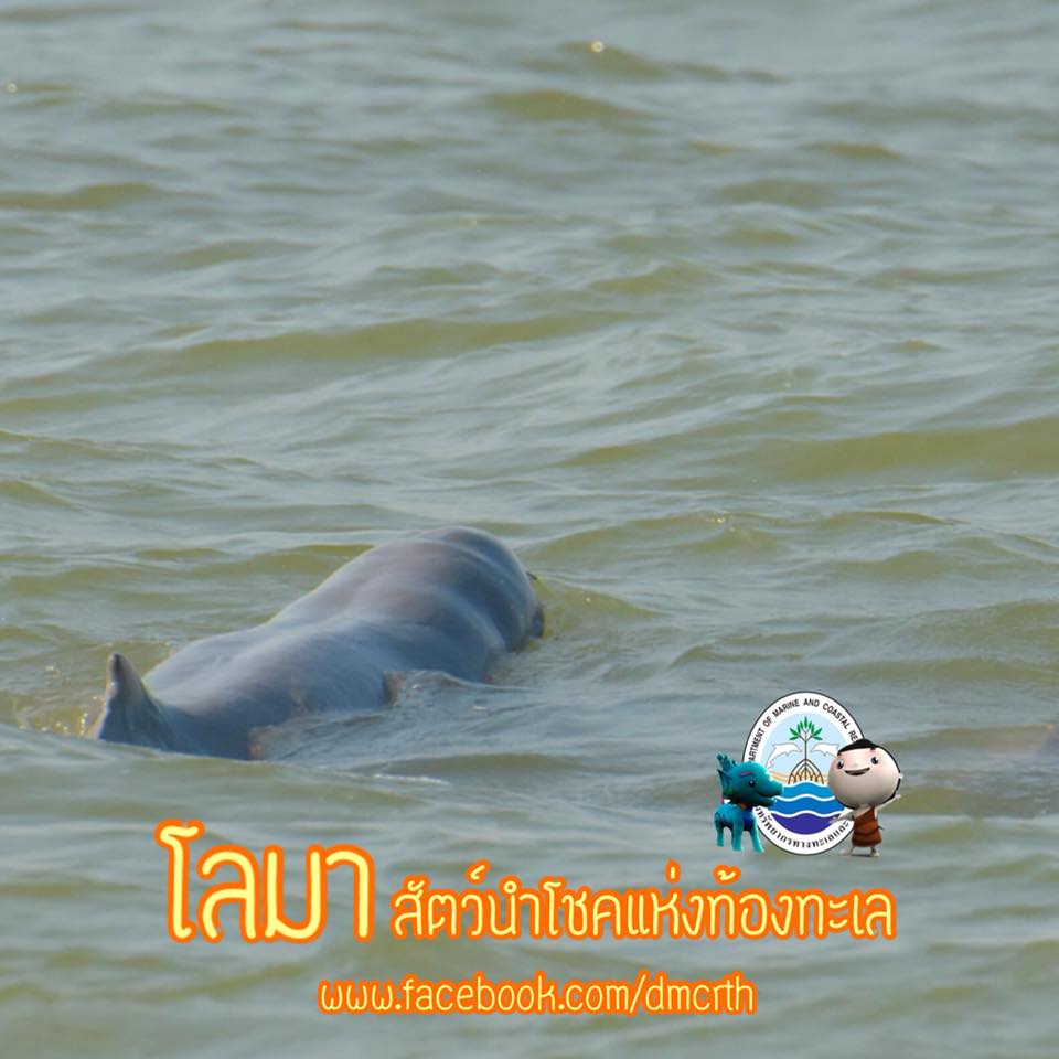 สวัสดี พี่น้องเครือข่ายรักษ์ทะเลไทย