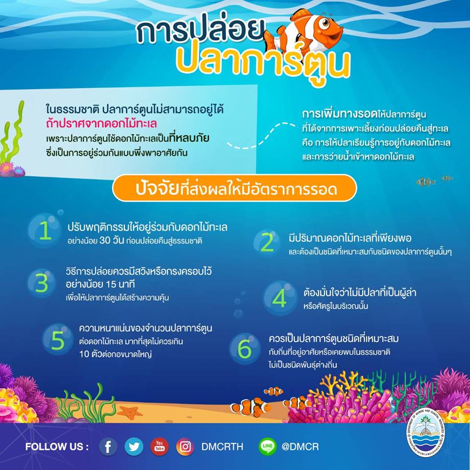 การปล่อยปลา บางครั้งก็ไม่ได้บุญ