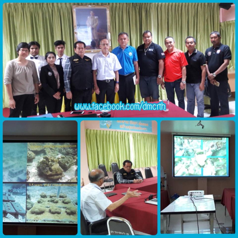 ทช. ร่วมนักดำน้ำอาสา กำหนดแนวทางฟื้นฟูปะการังเกาะไข่
