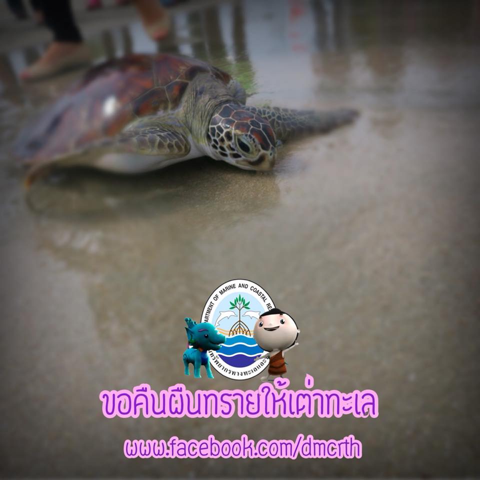 สวัสดี พี่น้องเครือข่ายรักษ์ทะเลไทย