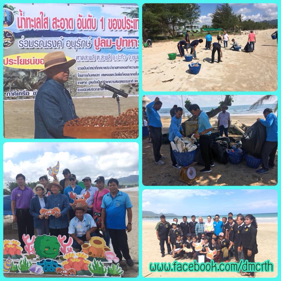 จัดเก็บขยะชายหาดสะพลี