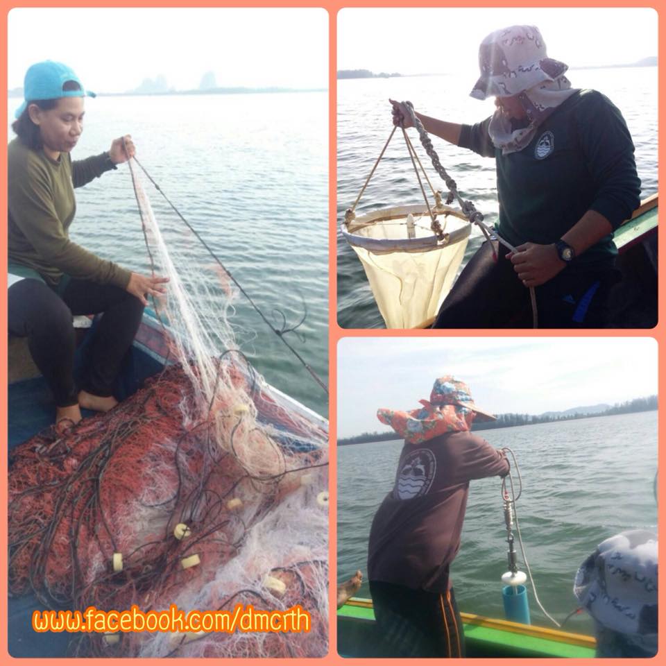 สำรวจทรัพยากรทะเลชายฝั่งตรังและสตูล
