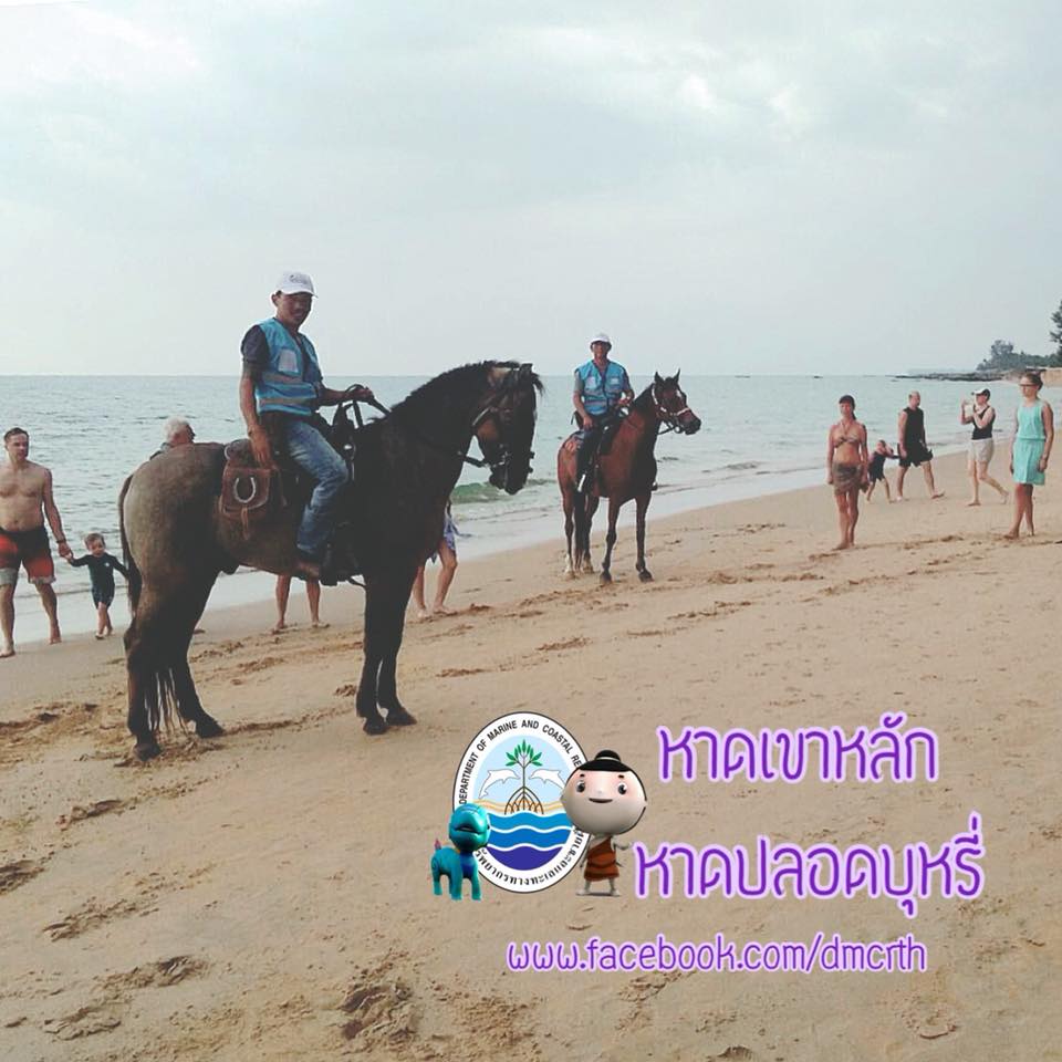 สวัสดี พี่น้องเครือข่ายรักษ์ทะเลไทย