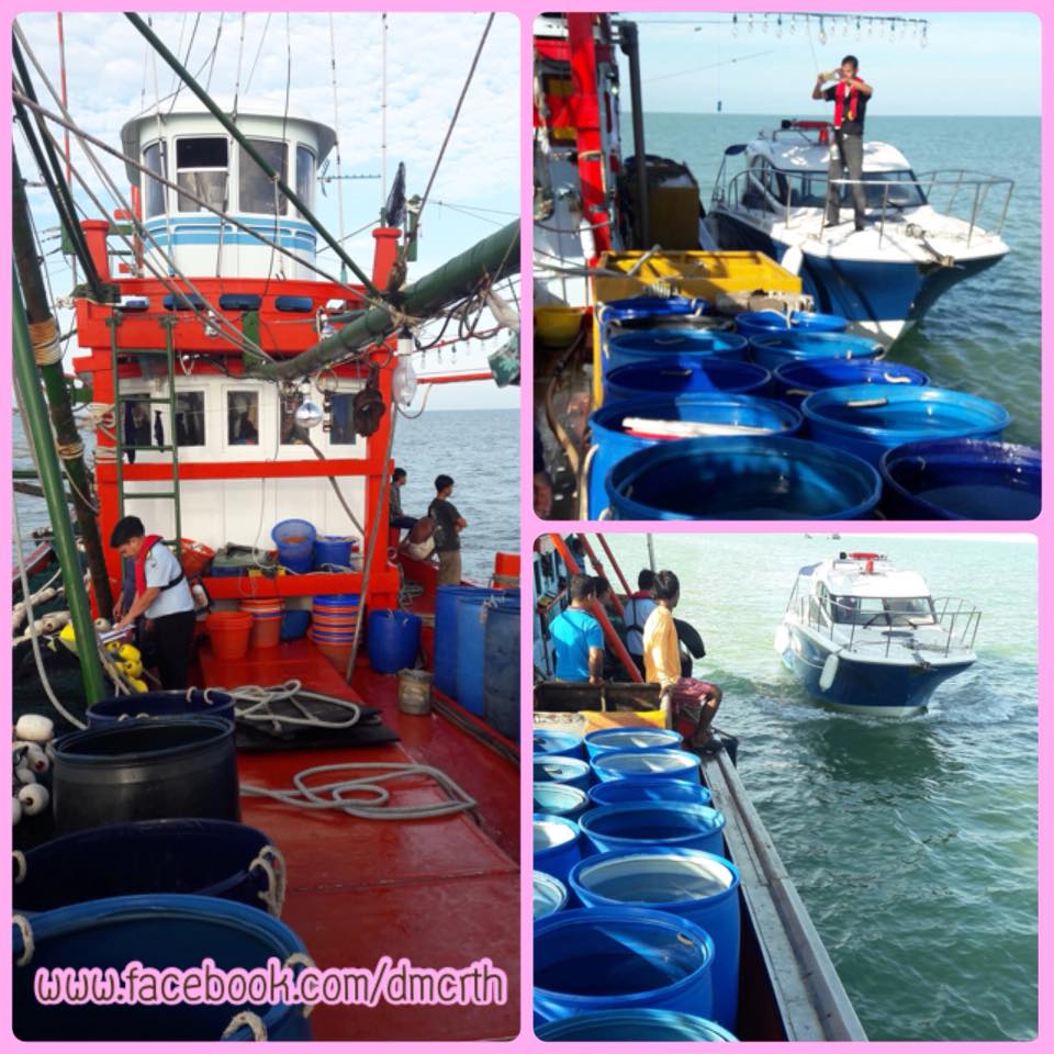 ตรวจเรือประมงปัตตานี ไม่พบผิดกฎหมาย