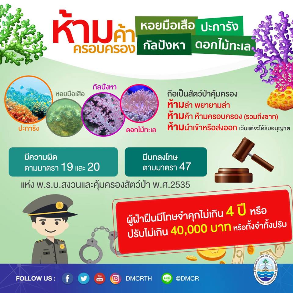 คนรุ่นใหม่ ใส่ใจรักทะเล ไม่ซื้อ ไม่ขาย ไม่ครอบครอง