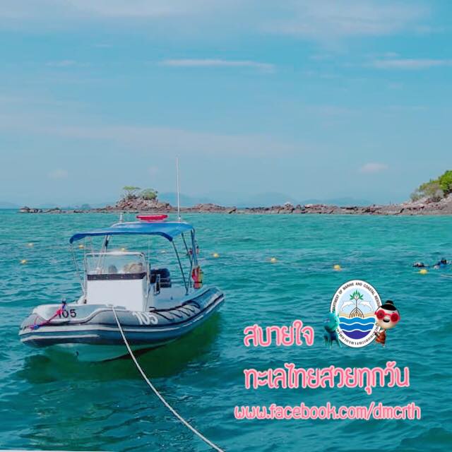 สวัสดี พี่น้องเครือข่ายรักษ์ทะเลไทย