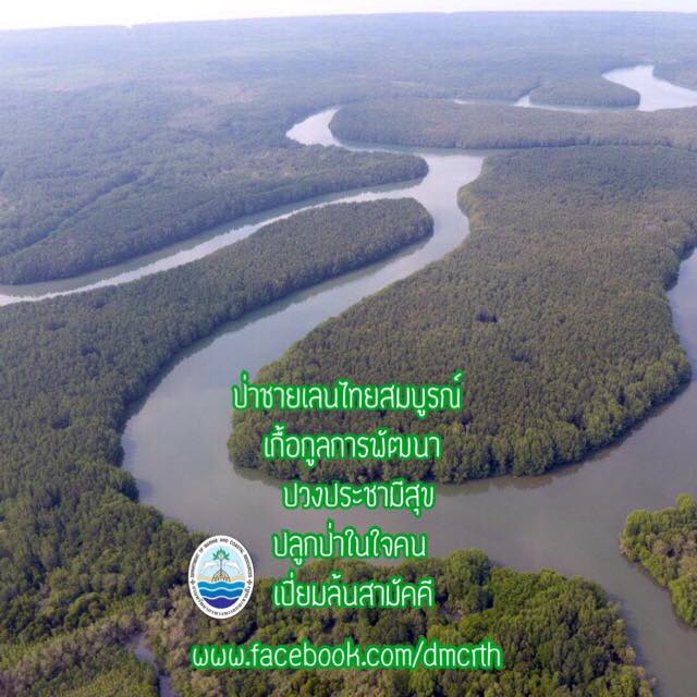 สวัสดี พี่น้องเครือข่ายรักษ์ทะเลไทย