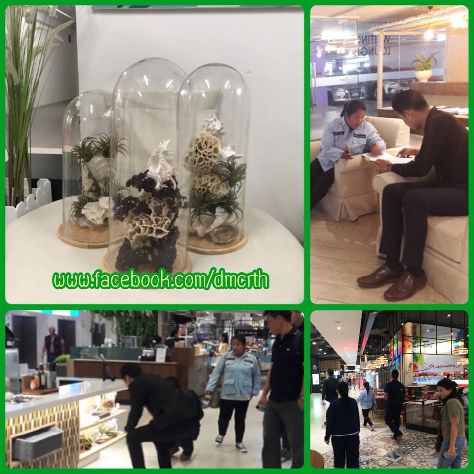 ยึดซากปะการัง นำมาประดับร้านในห้างกลางเมืองหัวหิน