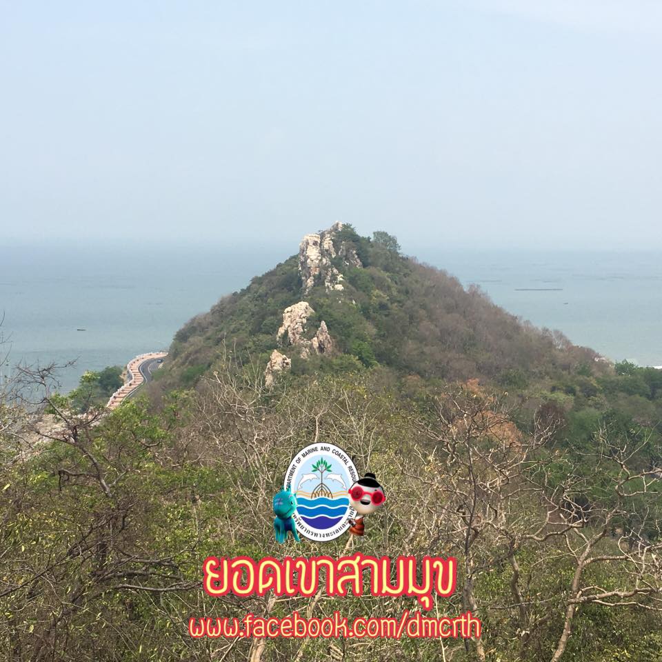 สวัสดี พี่น้องเครือข่ายรักษ์ทะเลไทย