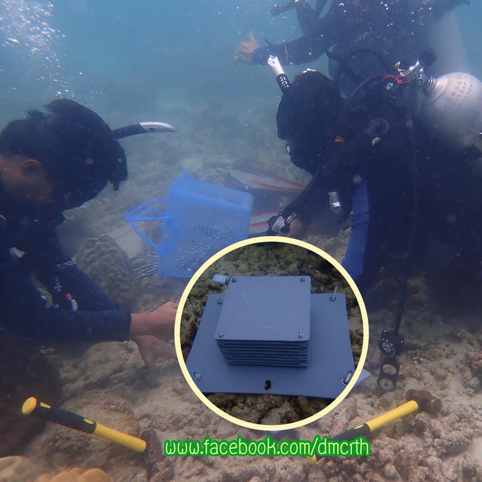 ประเมินสถานการณ์ปะการังฟอกขาว​ เกาะไข่ จ.ชุมพร