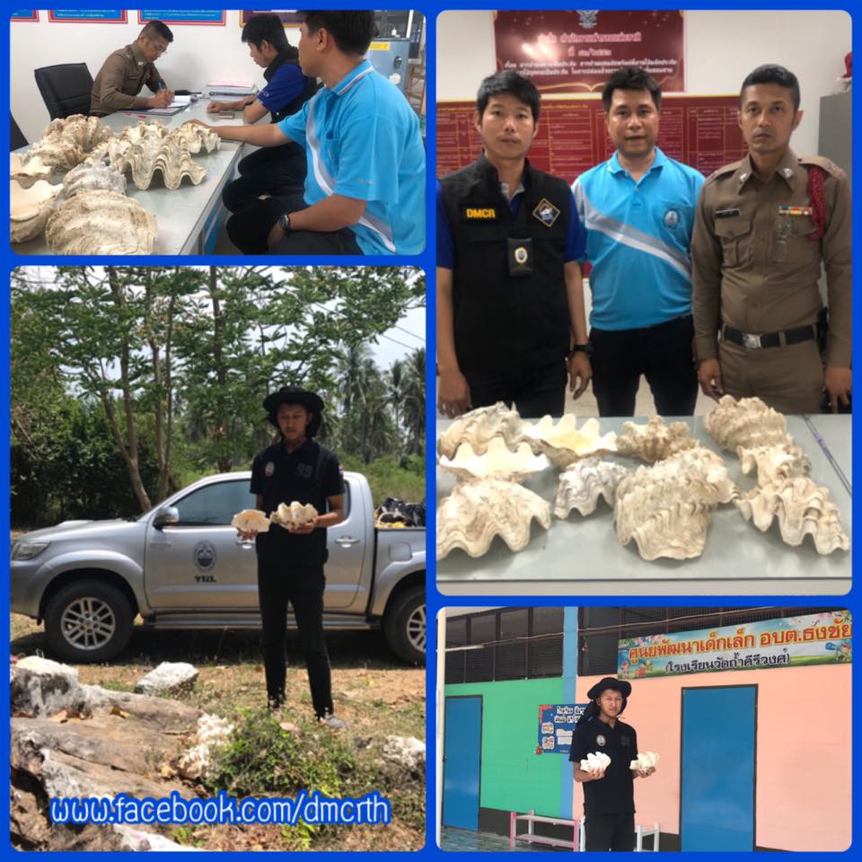 พบซากหอยมือเสือ บริเวณโรงเรียนวัดถ้ำคีรีวงค์ บางสะพาน