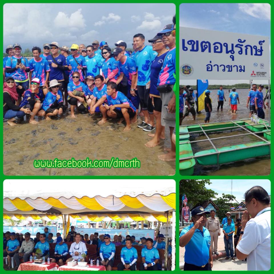 ร่วมปั่น Slow Life เมืองต้องห้ามพลาด และปลูกหญ้าทะเลตรัง