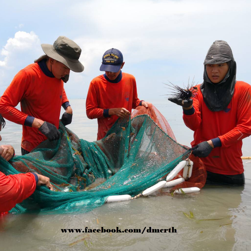 เราจะพบอะไรบ้างในแหล่งหญ้าทะเล พื้นที่อ่าวธรรมชาติ