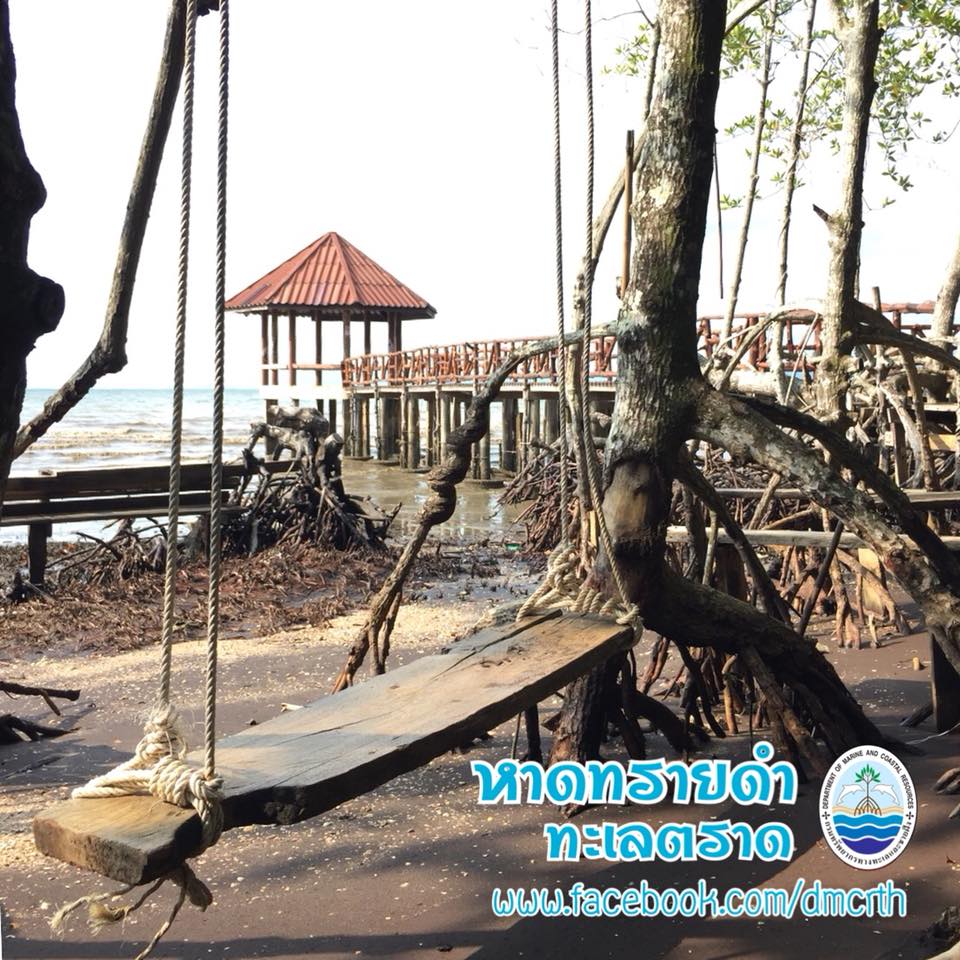สวัสดี พี่น้องเครือข่ายรักษ์ทะเลไทย