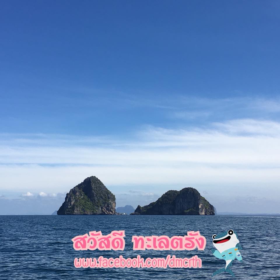 สวัสดี พี่น้องเครือข่ายรักษ์ทะเลไทย