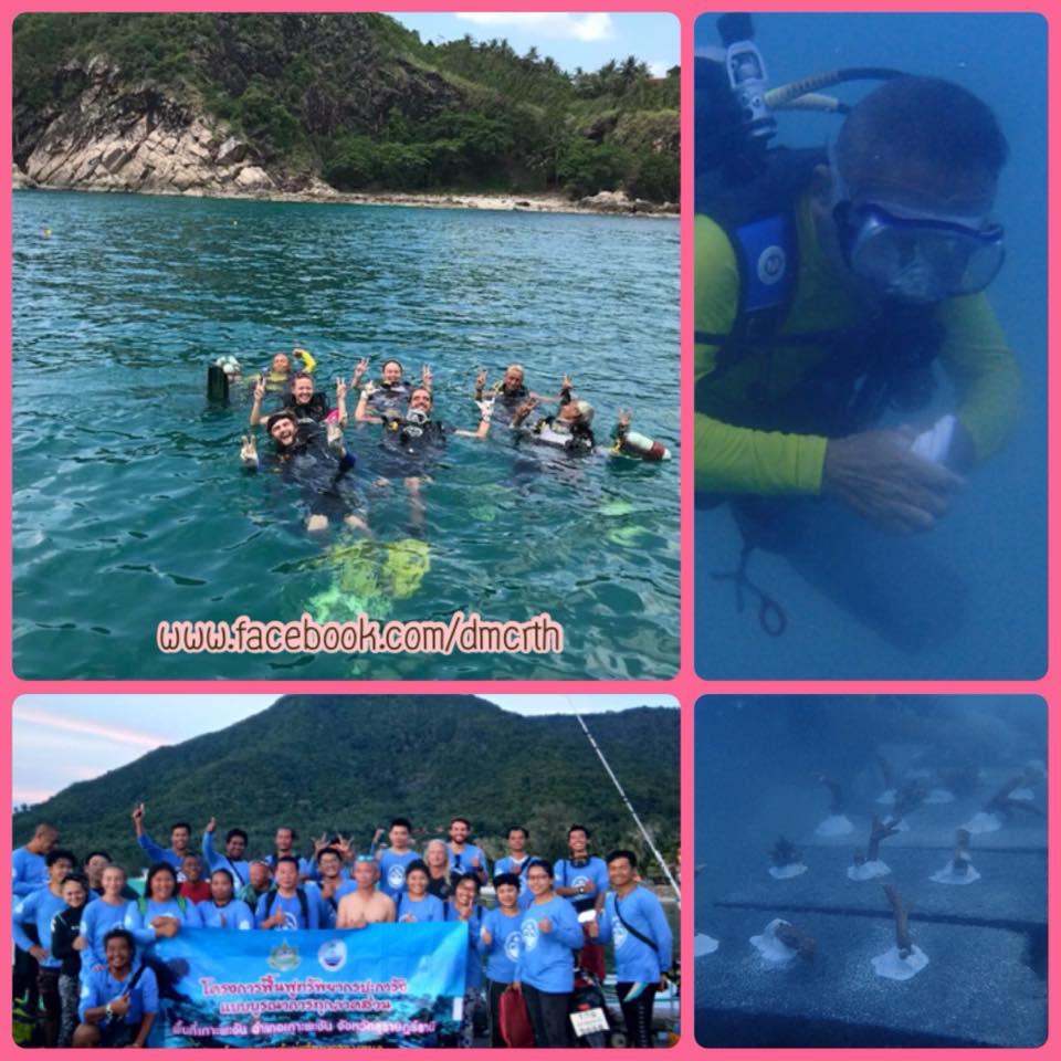 ช่วยกันฟื้นฟูปะการังอ่าวโฉลกหลำ ทะเลเกาะพะงัน