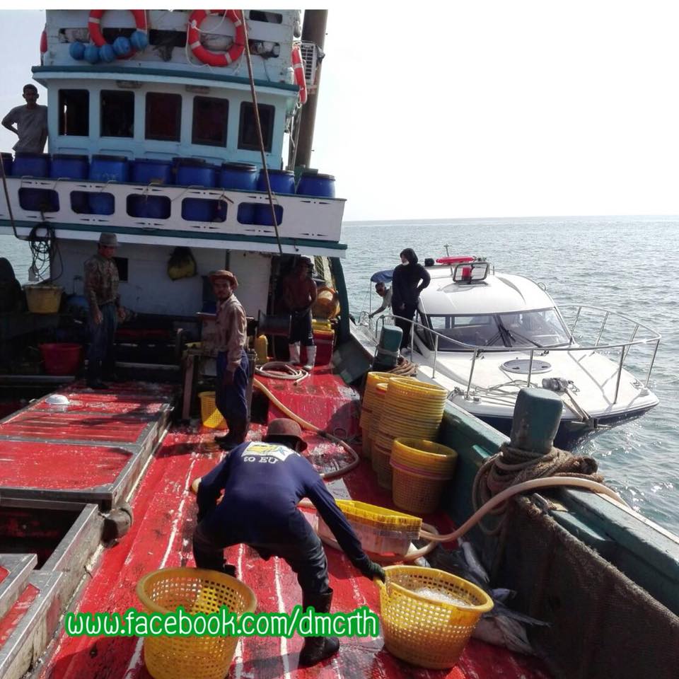 ตรวจเรือประมงปัตตานี ไม่พบผิดกฎหมาย