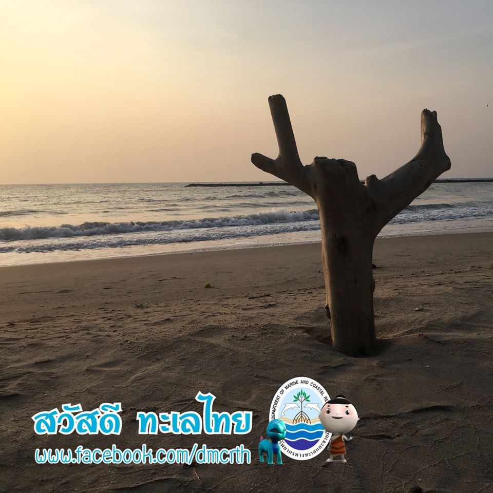 สวัสดี พี่น้องเครือข่ายรักษ์ทะเลไทย