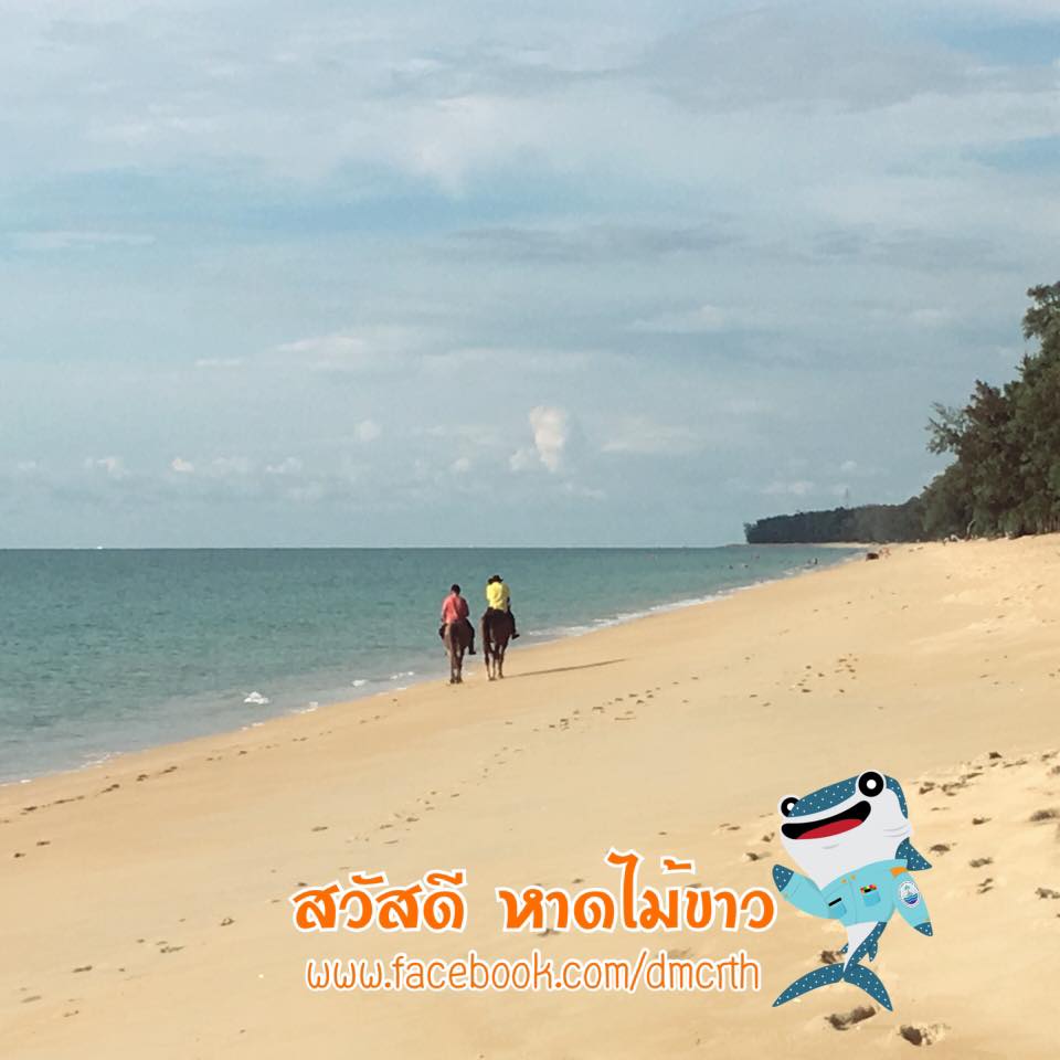 สวัสดี พี่น้องเครือข่ายรักษ์ทะเลไทย
