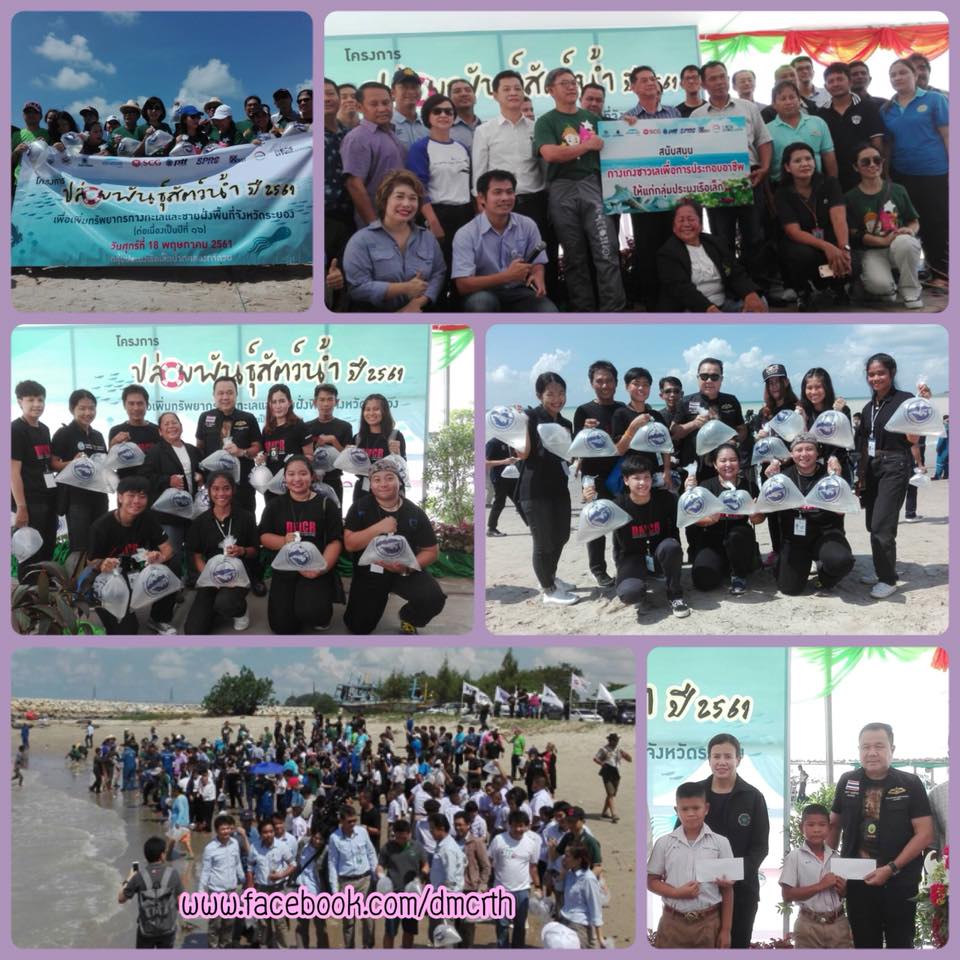 ปล่อยพันธุ์สัตว์น้ำ เพิ่มทรัพยากรทะเลระยอง