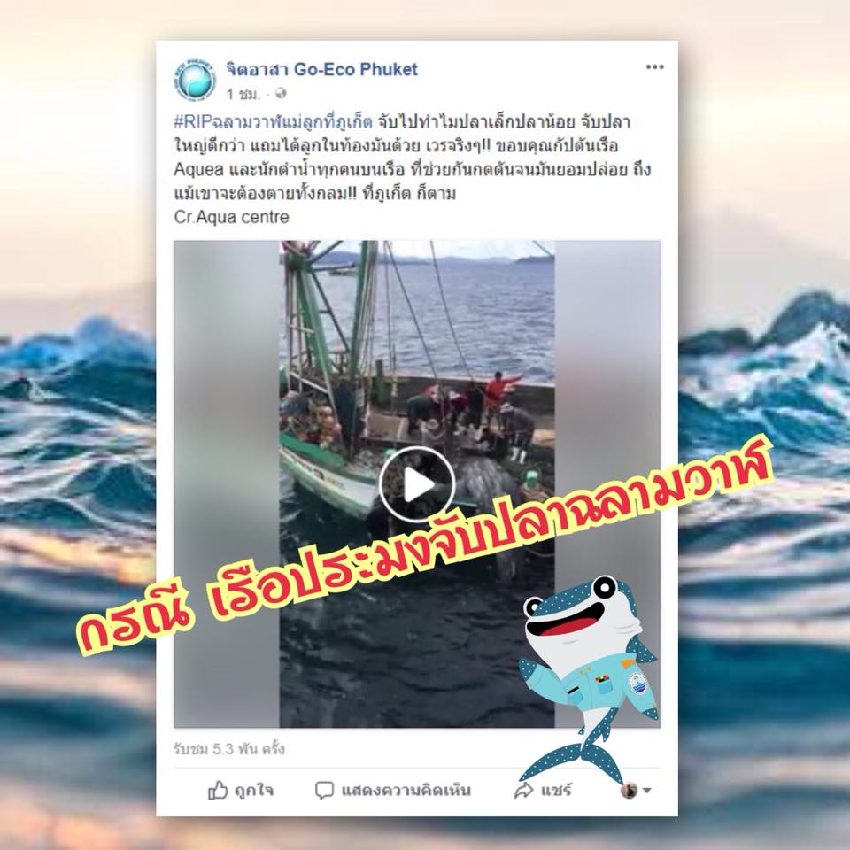 กรณีเรือประมงภูเก็ต จับปลาฉลามวาฬ