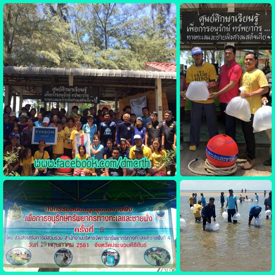 ปล่อยปลาเสริมค่ารักทะเลและชายหาดปากน้ำปราณบุรี