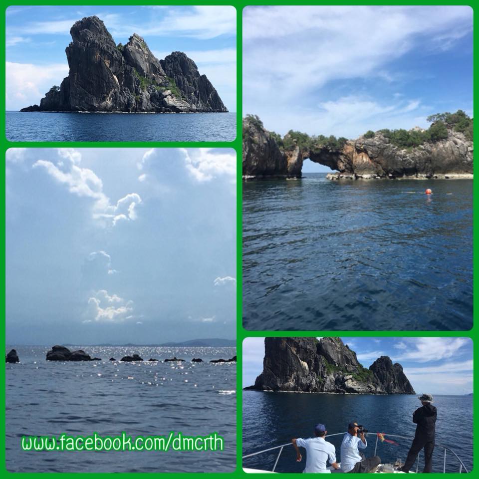 ตรวจสอบทะเลชุมพร กรณีปลาฉลามวาฬมีเชือกรัดที่หาง