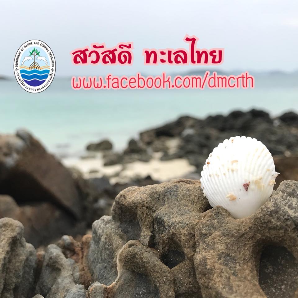 สวัสดี พี่น้องเครือข่ายรักษ์ทะเลไทย