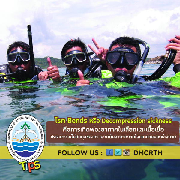 โรค Bends หรือ Decompression sickness