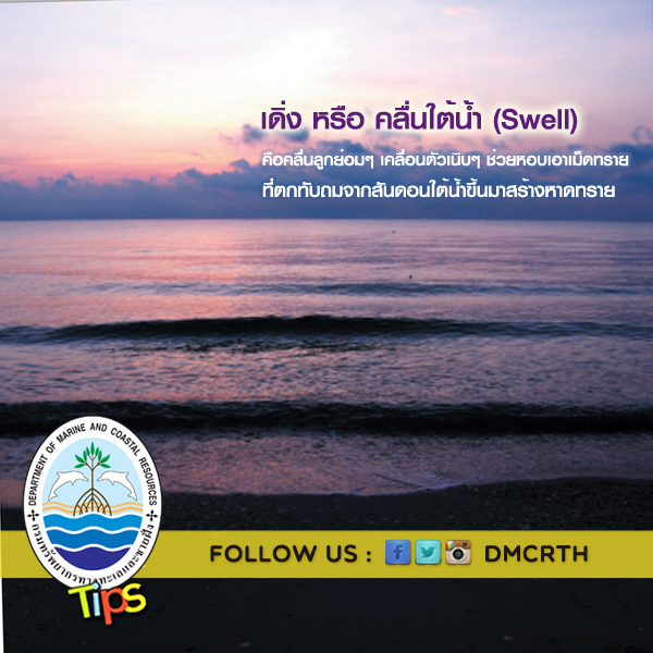 เดิ่ง หรือ คลื่นใต้น้ำ (Swell)