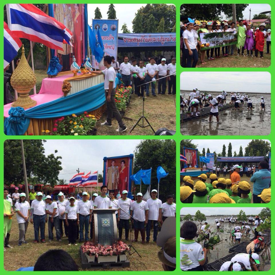 "ปลูกป่าชายเลนและปล่อยพันธุ์สัตว์นำ้เฉลิมพระเกียรติ"