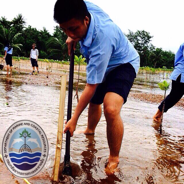 "คนไทย รักษ์ทะเลเสมอ"