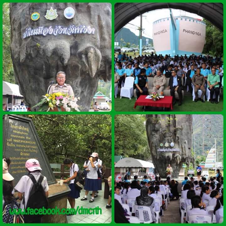 เปิดให้บริการเพิ่มอีกแห่งแล้ว ป่าชายเลนในเมืองพังงา