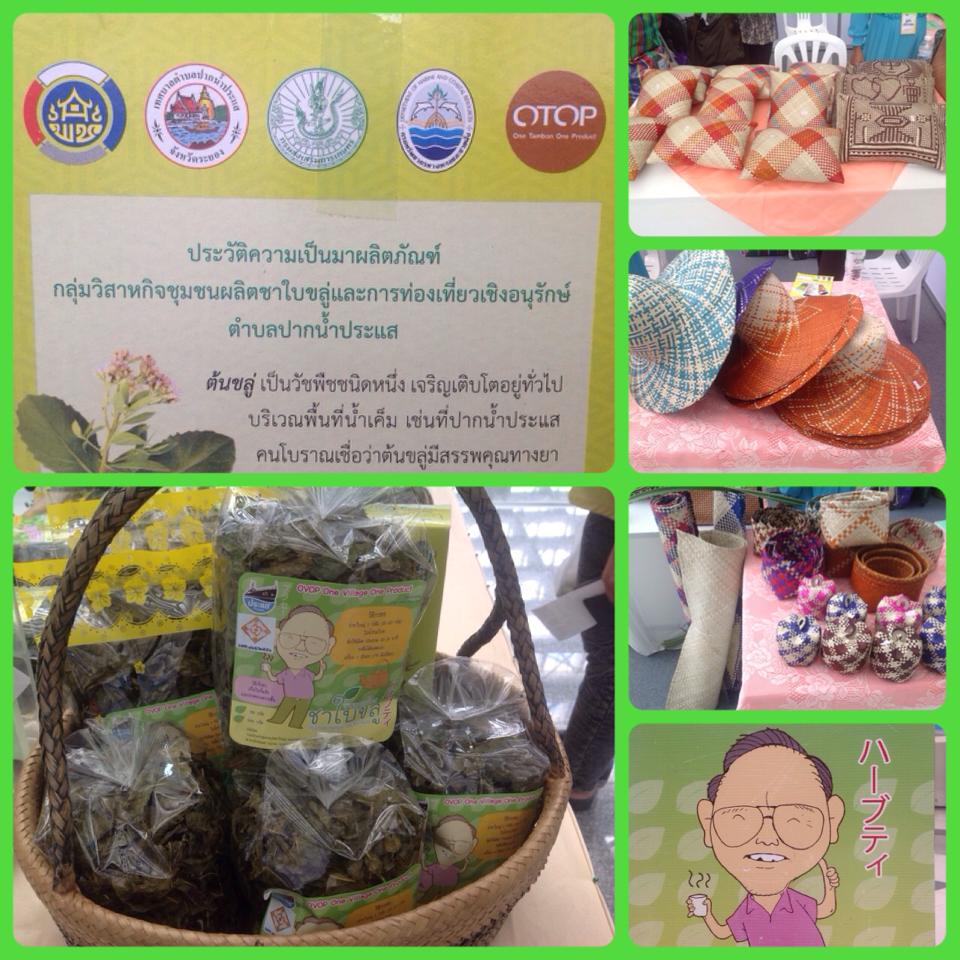 "พบชาใบขลู่ ที่ศูนย์ราชการฯ"