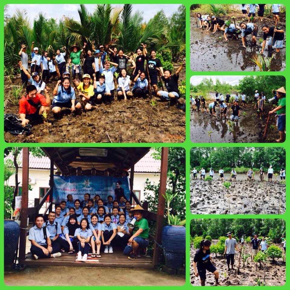 "Saving Green world @ตราด"