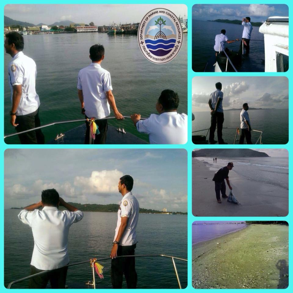 "สถานการณ์ขยะเกยหาดแม่รำพึง เช้านี้"
