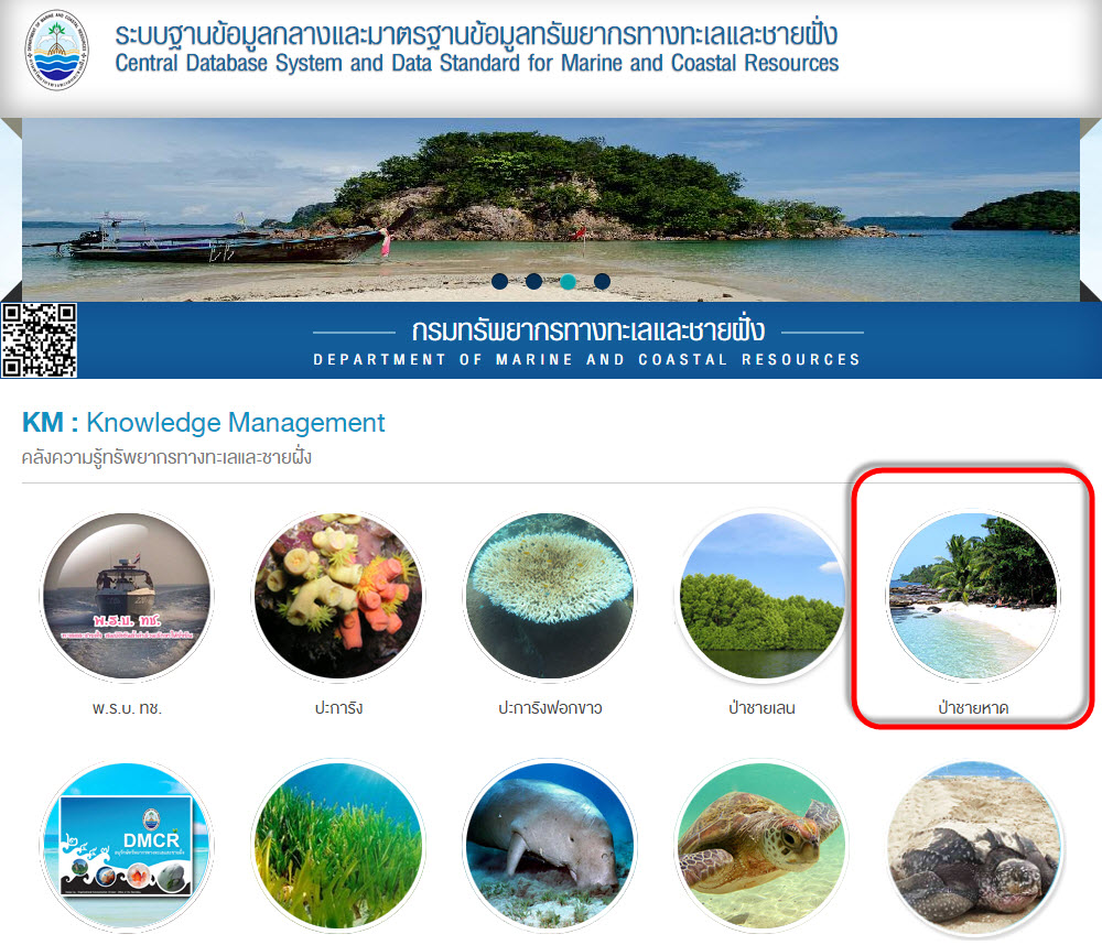 "แนะนำองค์ความรู้ใหม่ : ป่าชายหาด"