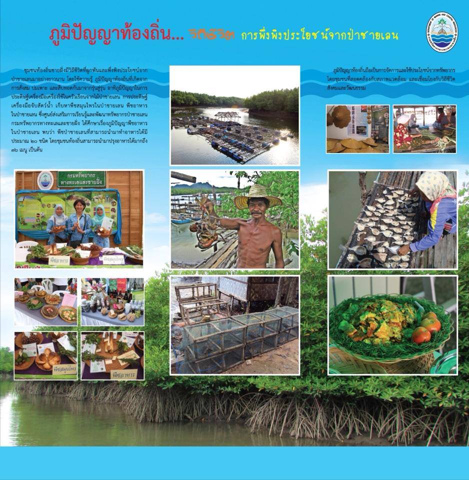 "เก็บตก นิทรรศการชายเลสู่ฝั่ง"