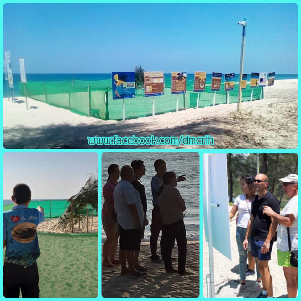 หลุมไข่เต่าหญ้า หาดท่าไทรเริ่มคึกคัก รอรับน้องเต่า