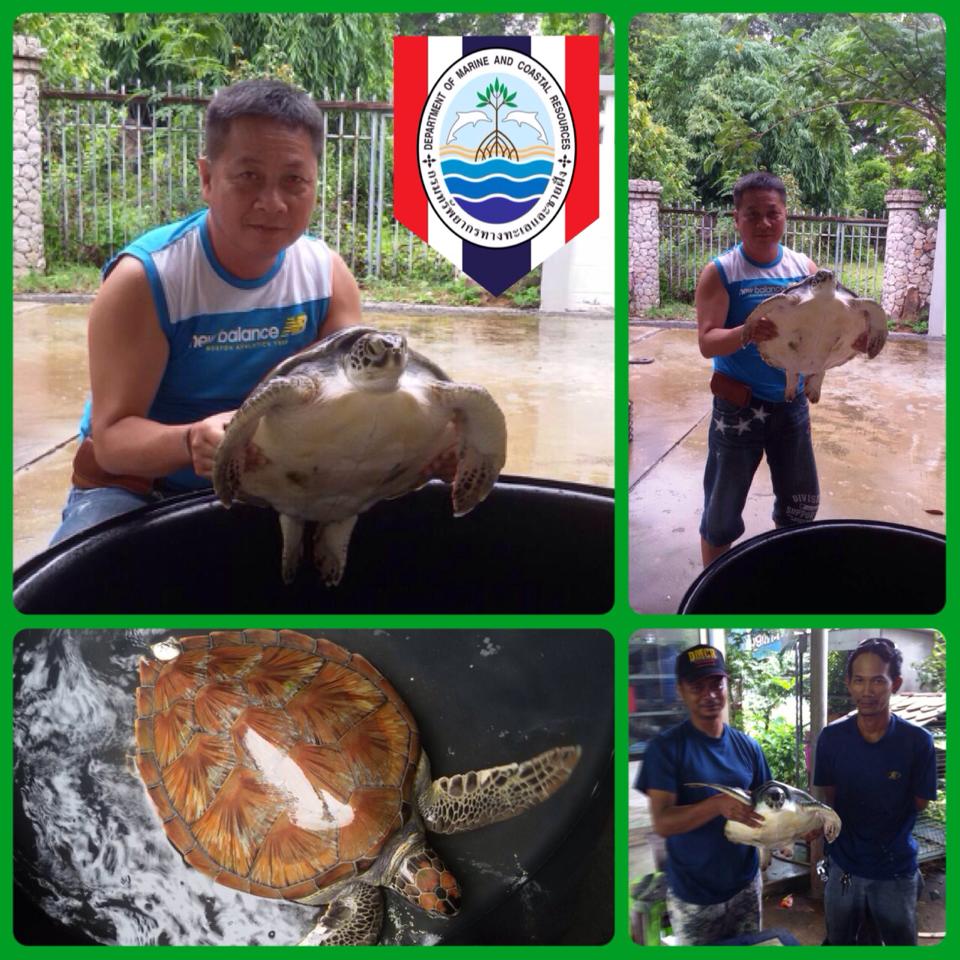 "เครือข่ายชายฝั่งเข้มแข็ง เพิ่มอัตรารอด"