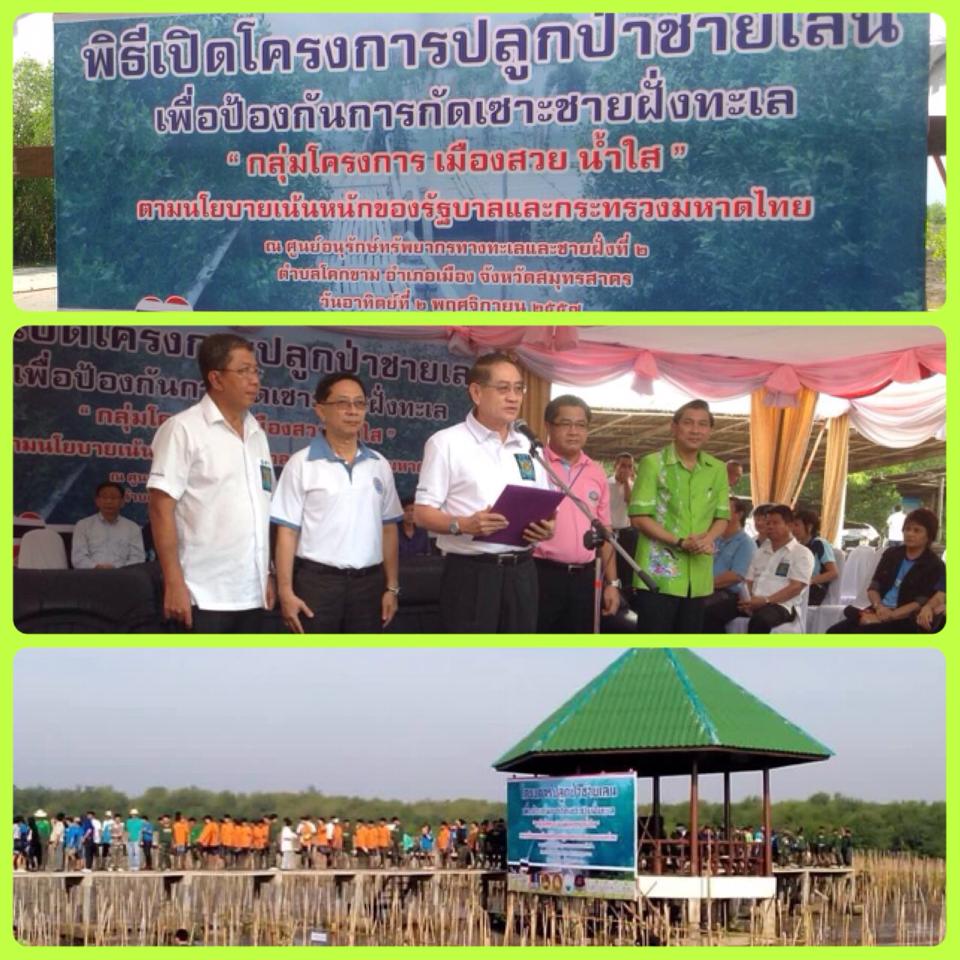 "ปลูกป่าชายเลน ทะเลโคกขาม จ.สมุทรสาคร"
