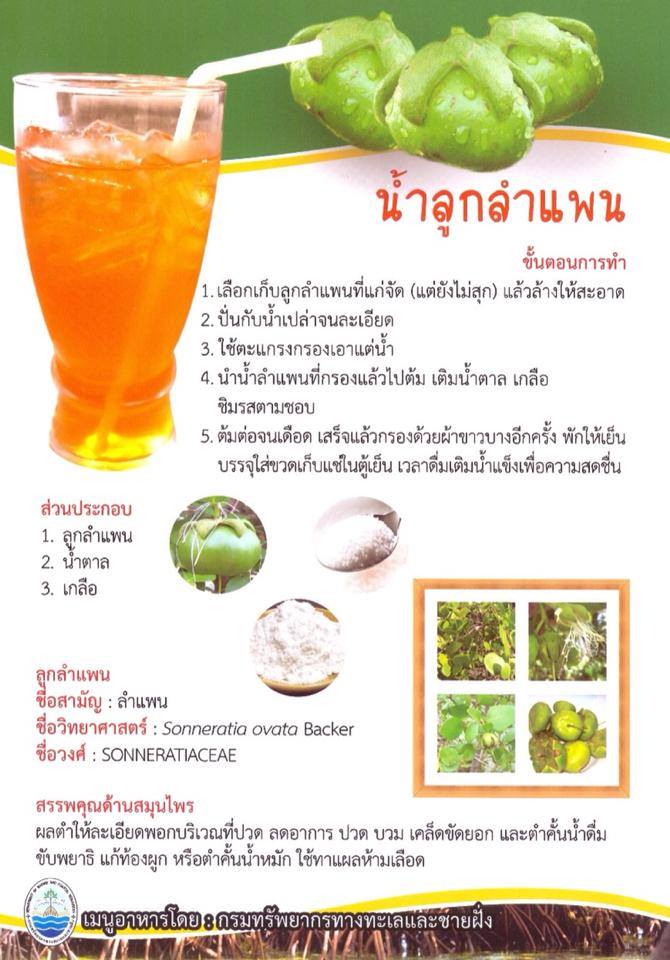 "เมนูเด็ดจากป่าชายเลน สู่โต๊ะอาหาร ครม."