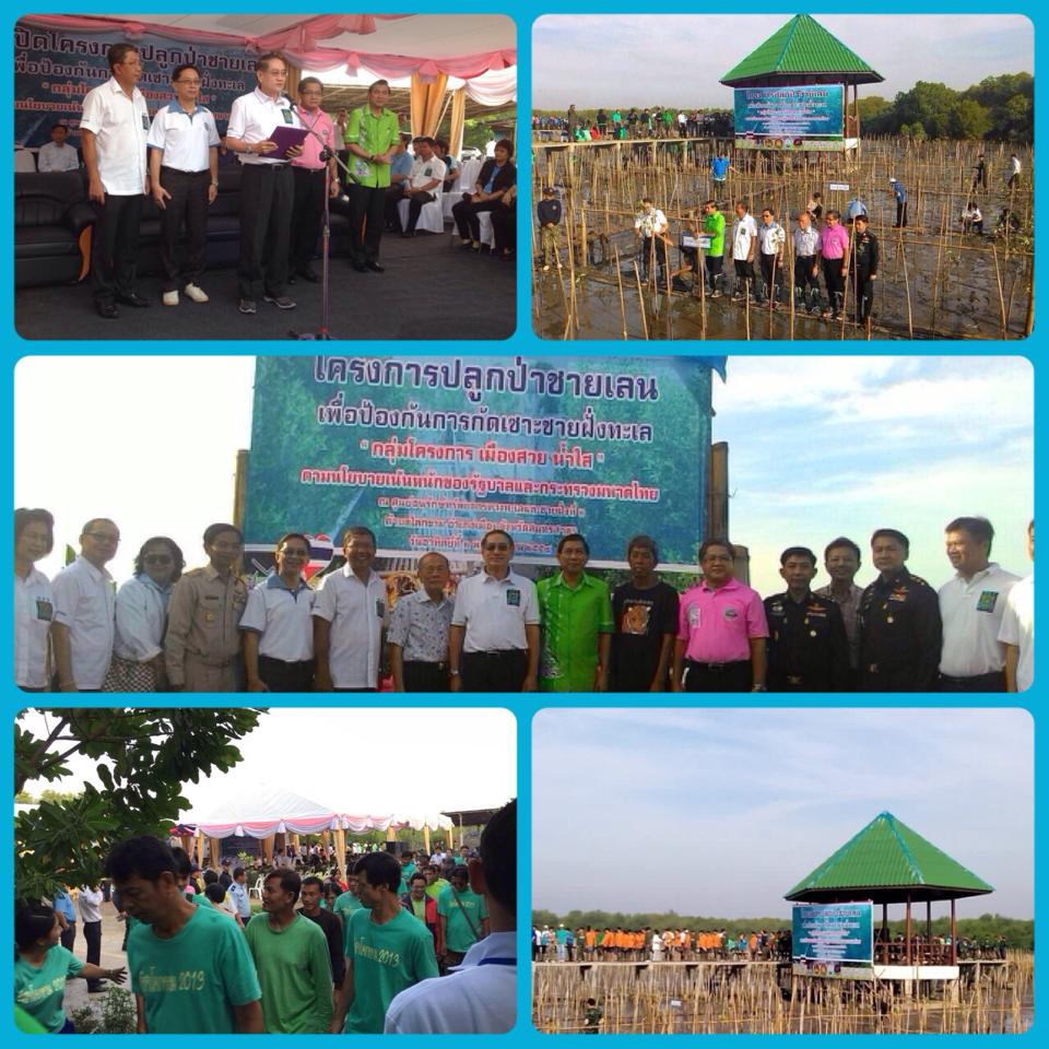 "ผลการจัดงานปลูกป่าชายเลนโคกขาม"