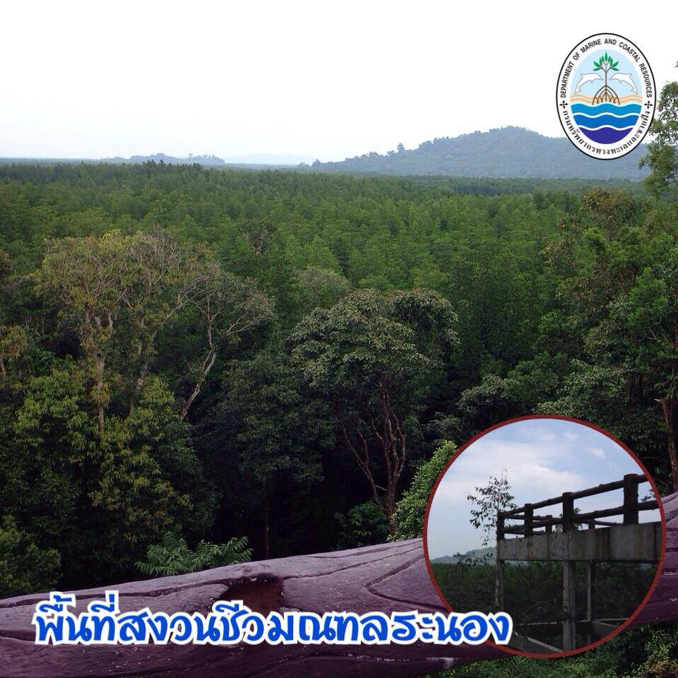 "แนะนำของดี ทช."