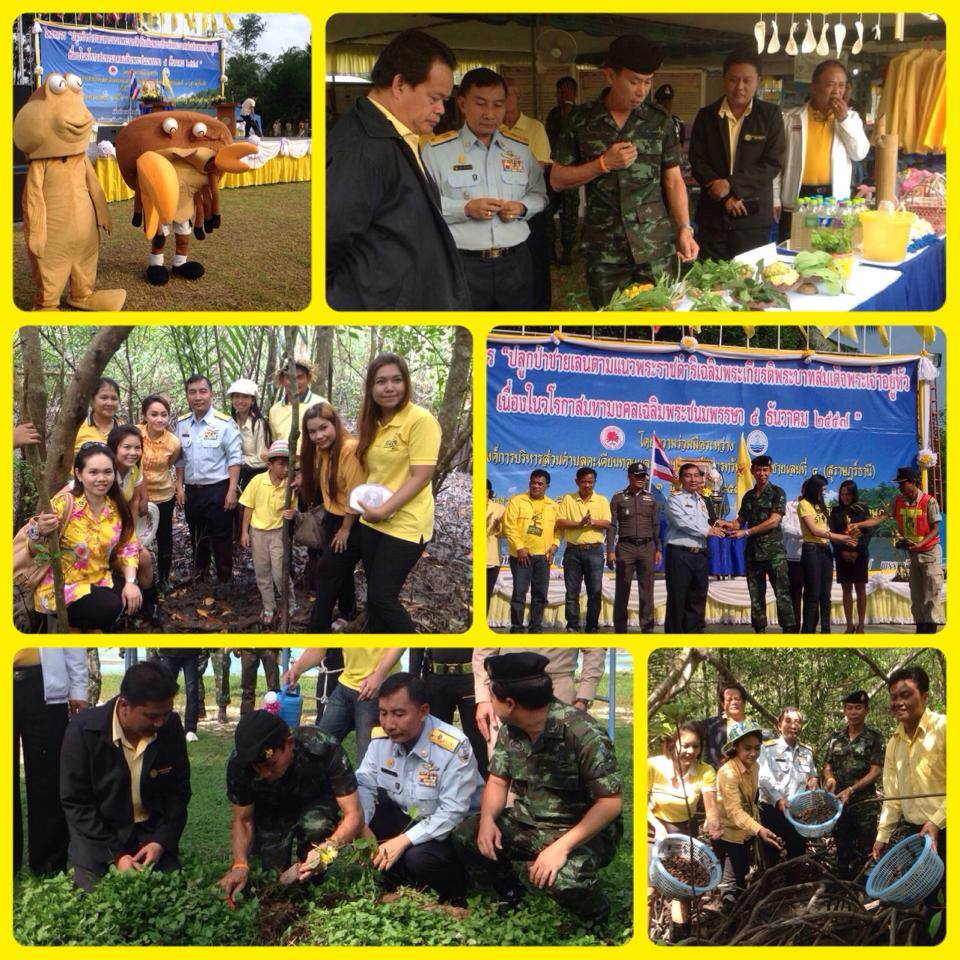 "ปลูกป่าชายเลนเทิดพระเกียรติฯ บ้านตะเคียนทอง"